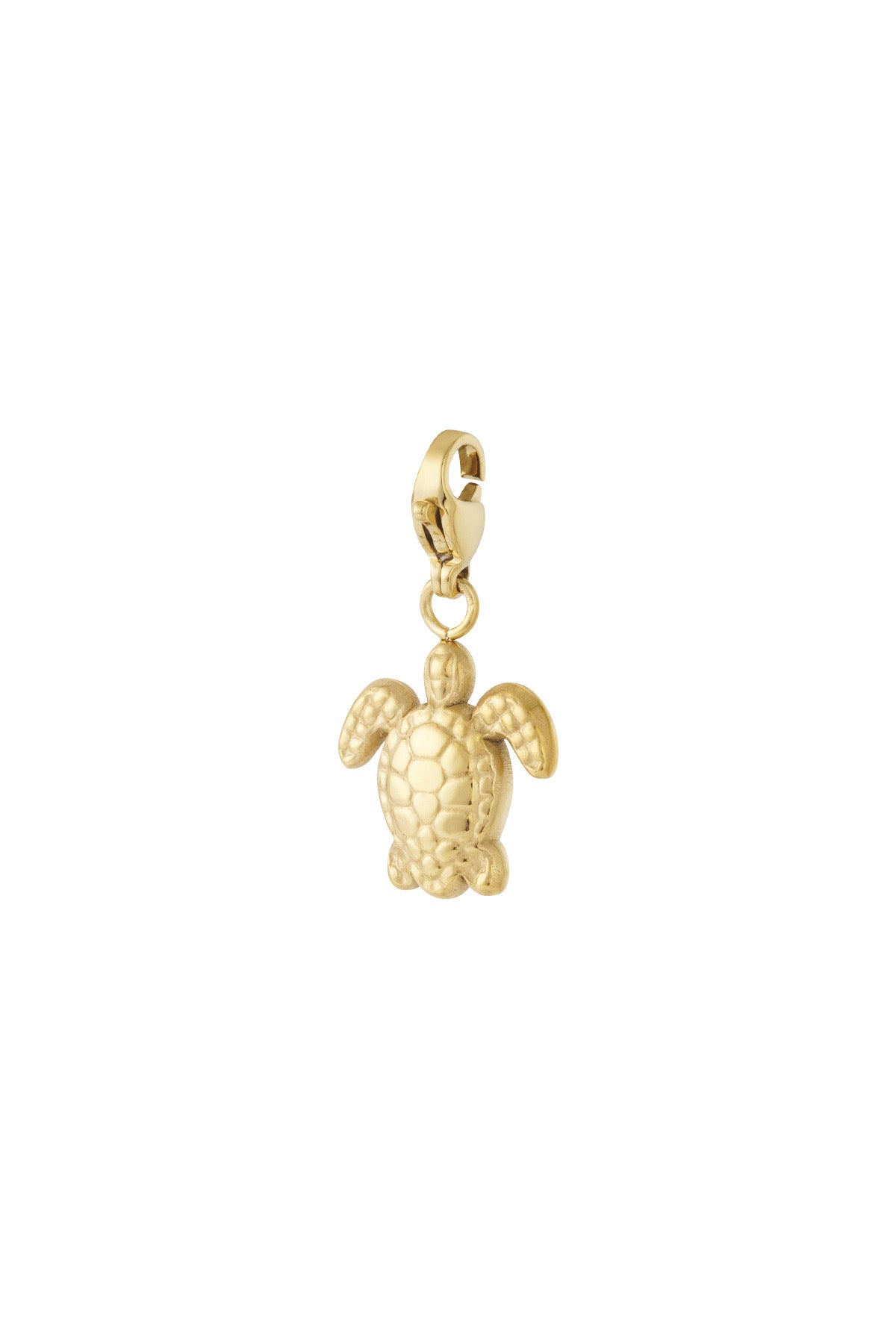Bedel | Turtle