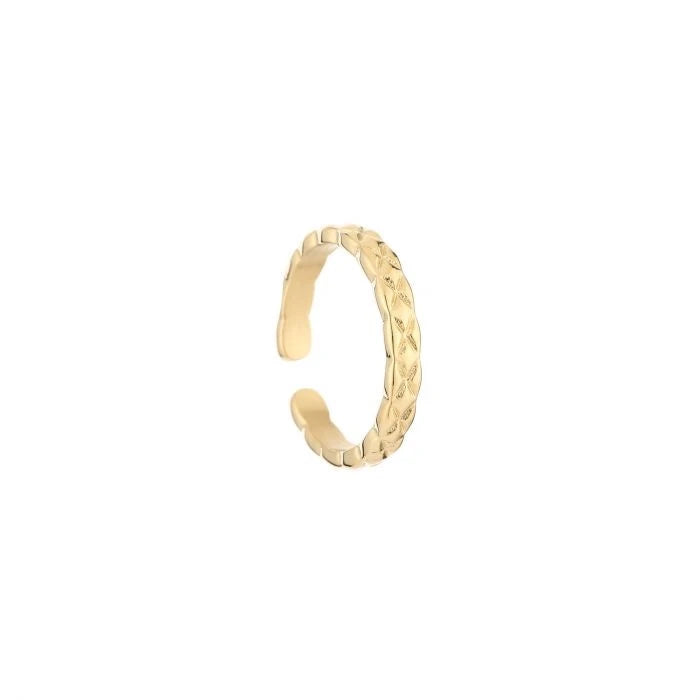 Ring | Fe
