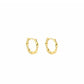 Earring | Swirl hoop g