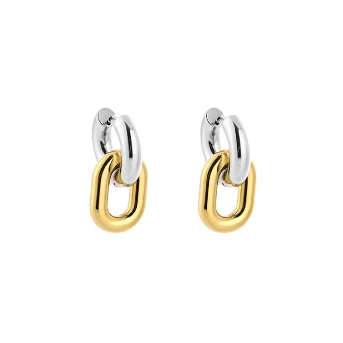 Earring | silver gold